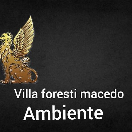 Ambiente Foresti Macedo غرامادو المظهر الخارجي الصورة