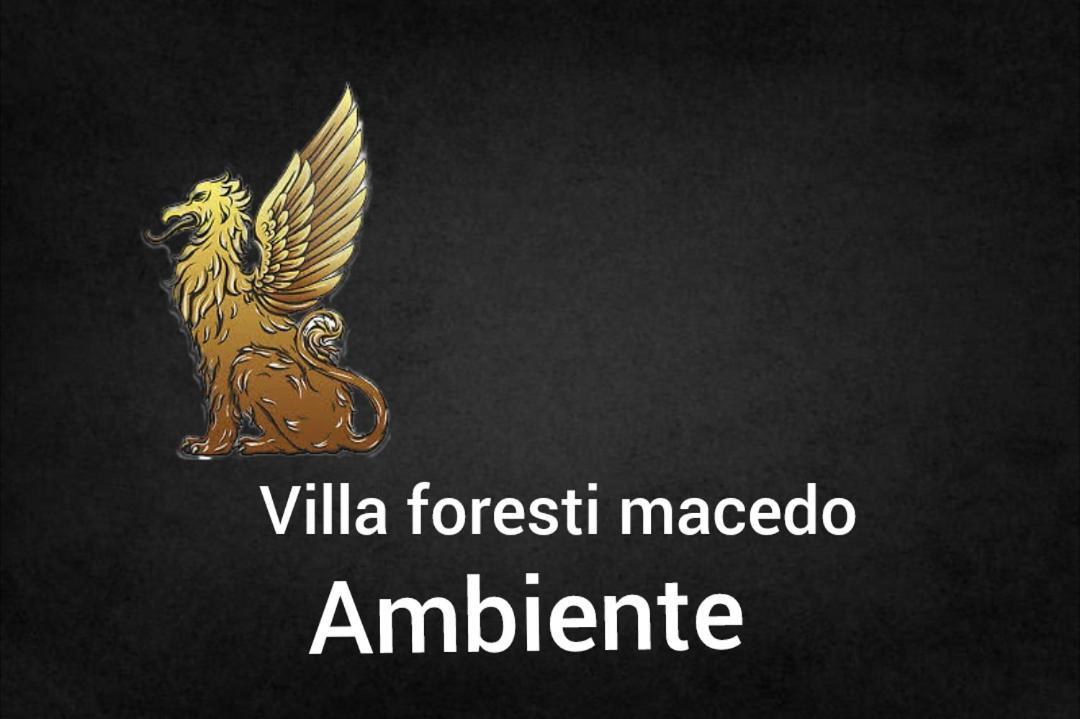 Ambiente Foresti Macedo غرامادو المظهر الخارجي الصورة